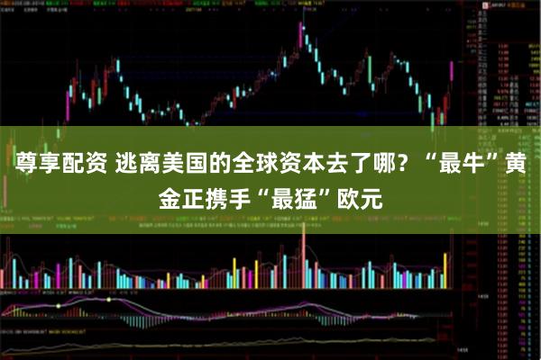 尊享配资 逃离美国的全球资本去了哪？“最牛”黄金正携手“最猛”欧元
