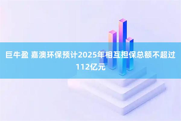 巨牛盈 嘉澳环保预计2025年相互担保总额不超过112亿元