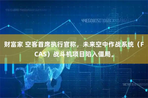 财富家 空客首席执行官称，未来空中作战系统（FCAS）战斗机项目陷入僵局。