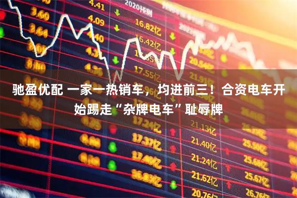 驰盈优配 一家一热销车，均进前三！合资电车开始踢走“杂牌电车”耻辱牌